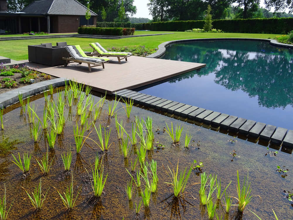 An eco-friendly pool integrated with natural filtration plants.
